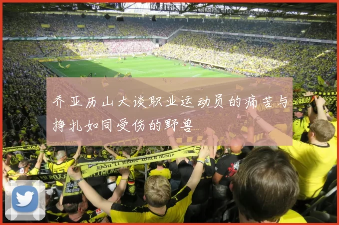 乔亚历山大谈职业运动员的痛苦与挣扎如同受伤的野兽