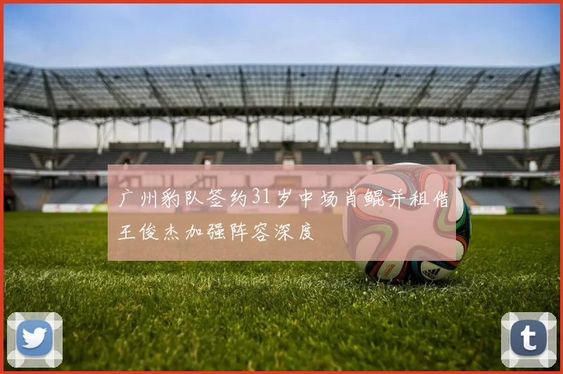 广州豹队签约31岁中场肖鲲并租借王俊杰加强阵容深度